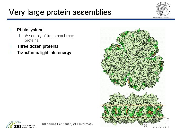 Very large protein assemblies l Photosystem I l l l Assembly of transmembrane proteins