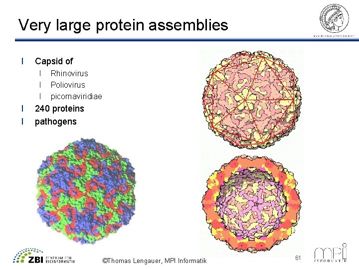 Very large protein assemblies l Capsid of l l l Rhinovirus Poliovirus picornaviridiae 240