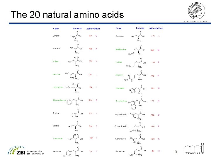 The 20 natural amino acids ©Thomas Lengauer, MPI Informatik 8 