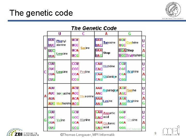 The genetic code ©Thomas Lengauer, MPI Informatik 9 