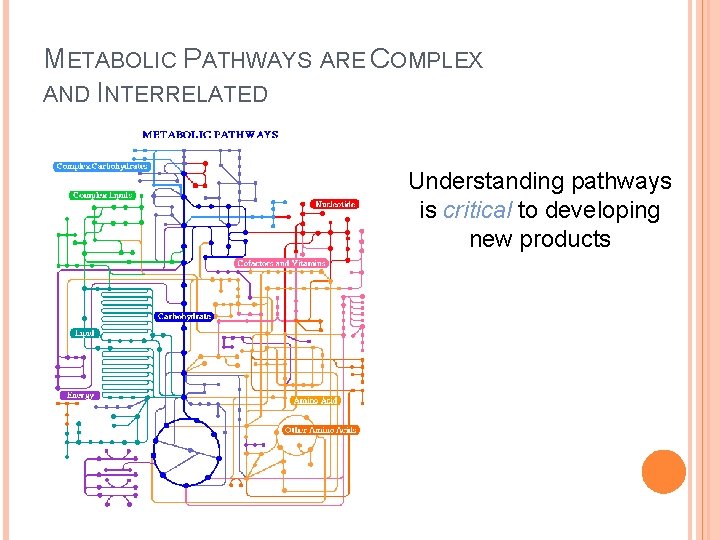 METABOLIC PATHWAYS ARE COMPLEX AND INTERRELATED Understanding pathways is critical to developing new products METABOLIC PATHWAYS ARE COMPLEX AND INTERRELATED Understanding pathways is critical to developing new products