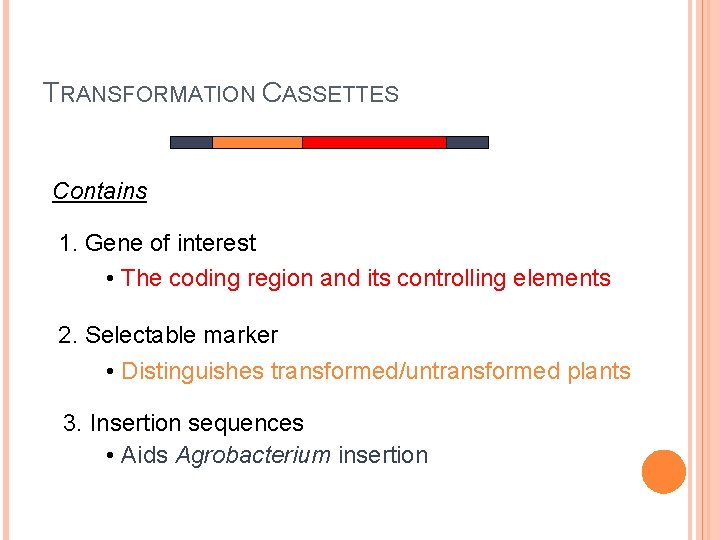 TRANSFORMATION CASSETTES Contains 1. Gene of interest • The coding region and its controlling TRANSFORMATION CASSETTES Contains 1. Gene of interest • The coding region and its controlling