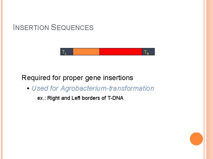 INSERTION SEQUENCES TL TR Required for proper gene insertions • Used for Agrobacterium-transformation ex. INSERTION SEQUENCES TL TR Required for proper gene insertions • Used for Agrobacterium-transformation ex.