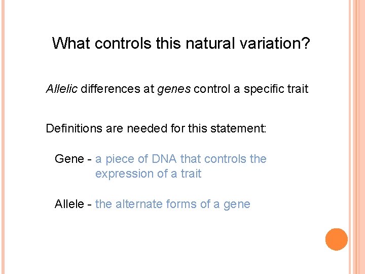 What controls this natural variation? Allelic differences at genes control a specific trait Definitions What controls this natural variation? Allelic differences at genes control a specific trait Definitions