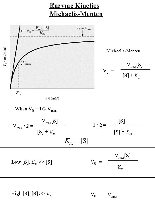 Enzyme Kinetics Michaelis-Menten Vmax[S] V 0 = [S] + Km When V 0 =