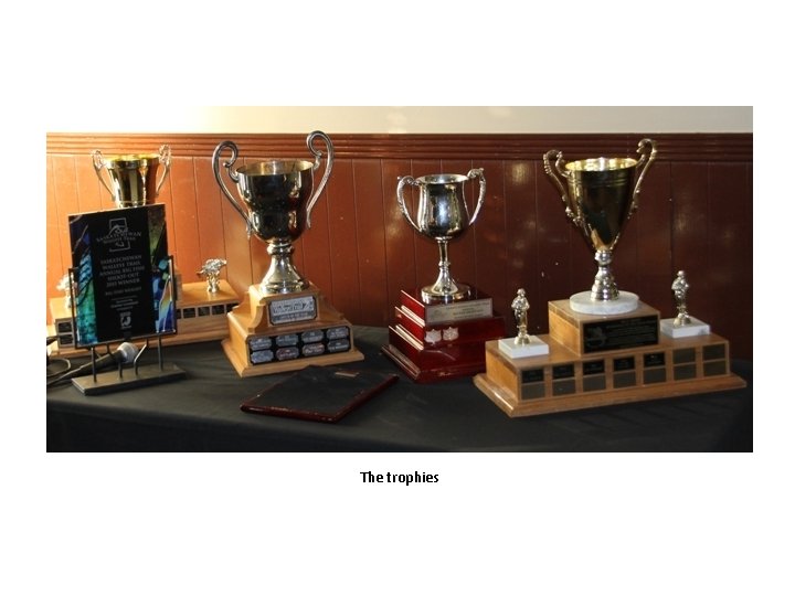 The trophies 