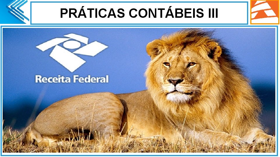 PRÁTICAS CONTÁBEIS III. 