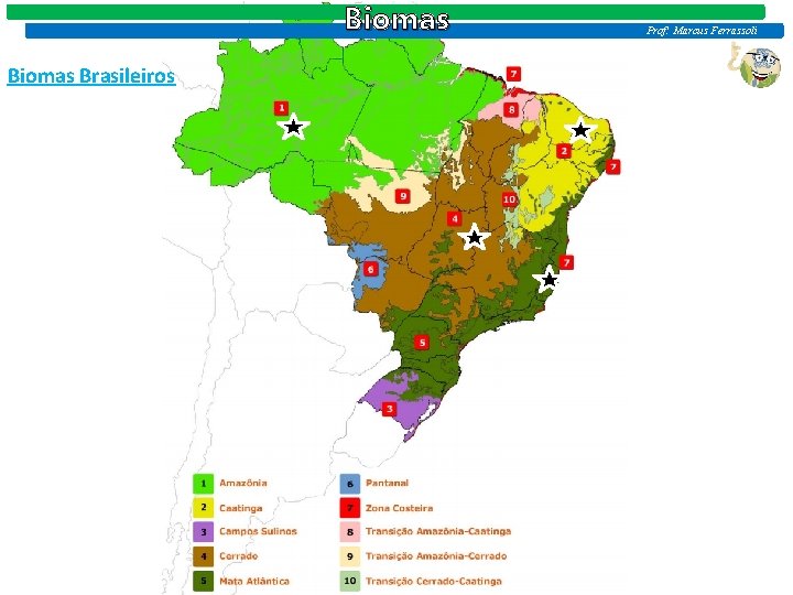 Biomas Brasileiros Prof: Marcus Ferrassoli 
