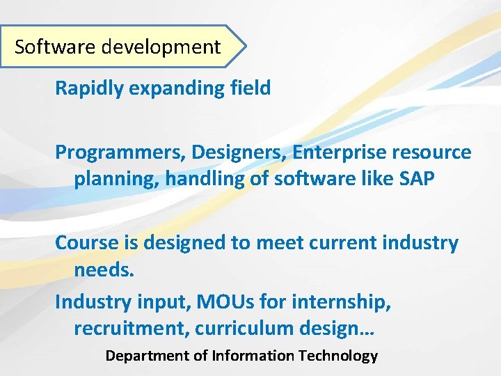 Software development Rapidly expanding field Programmers, Designers, Enterprise resource planning, handling of software like