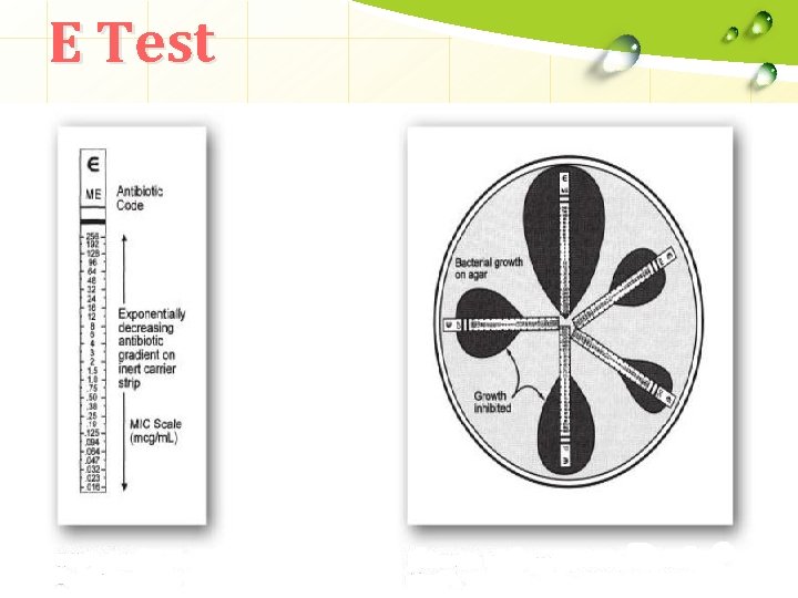 E Test 