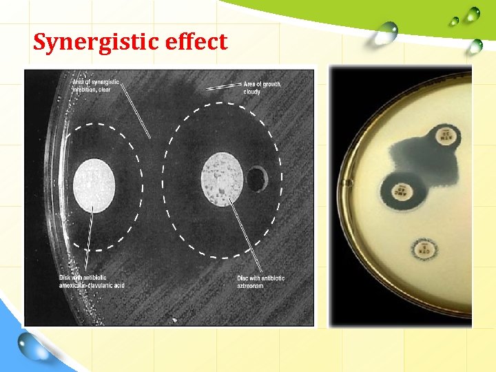 Synergistic effect 