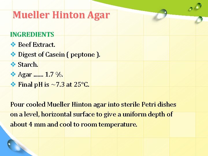 Mueller Hinton Agar INGREDIENTS v Beef Extract. v Digest of Casein ( peptone ).