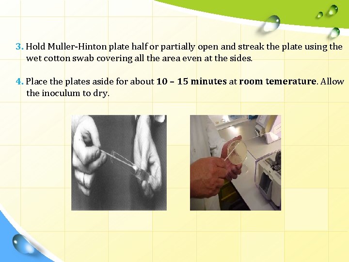 3. Hold Muller-Hinton plate half or partially open and streak the plate using the