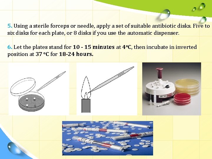 5. Using a sterile forceps or needle, apply a set of suitable antibiotic disks.