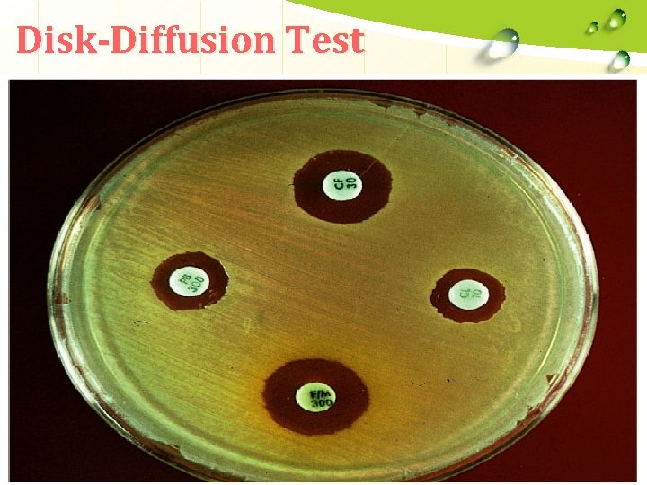 Disk-Diffusion Test 