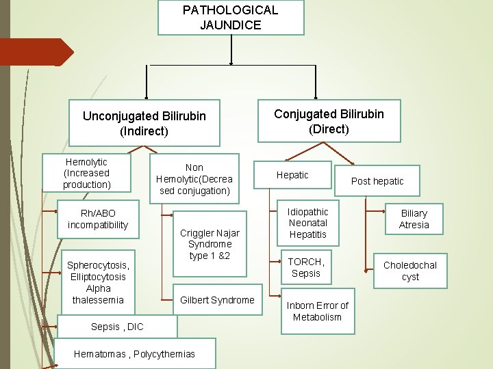 PATHOLOGICAL JAUNDICE Unconjugated Bilirubin (Indirect) Hemolytic (Increased production) Rh/ABO incompatibility Spherocytosis, Elliptocytosis Alpha thalessemia