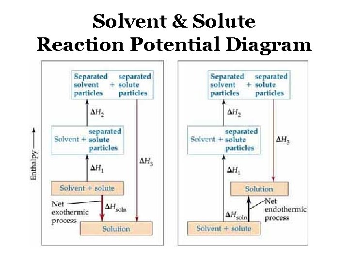 Solvent & Solute Reaction Potential Diagram 