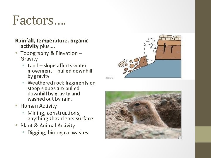 Factors…. Rainfall, temperature, organic activity plus…. • Topography & Elevation – Gravity • Land
