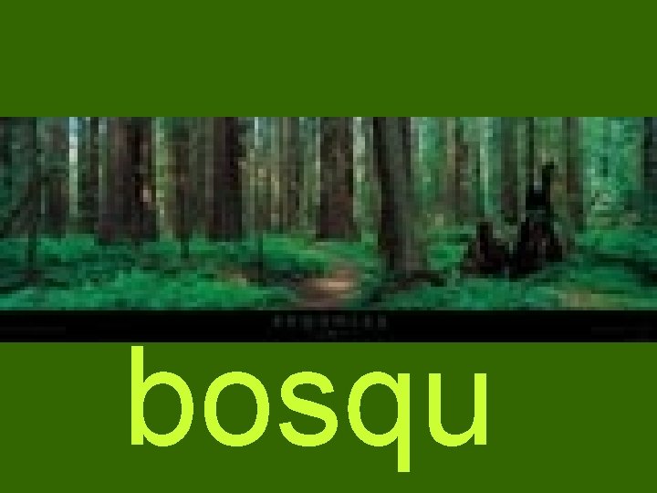 bosqu 