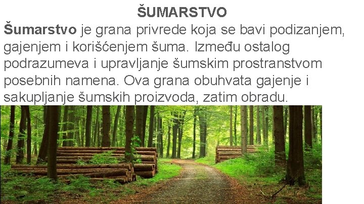 ŠUMARSTVO Šumarstvo je grana privrede koja se bavi podizanjem, gajenjem i korišćenjem šuma. Između