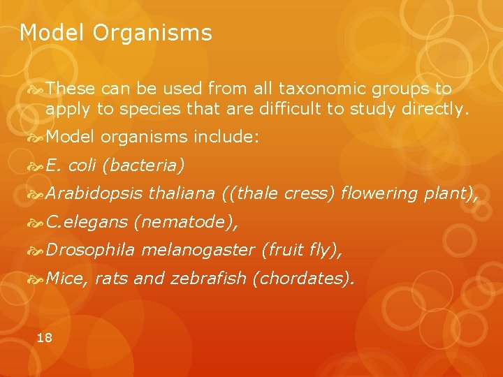Model Organisms These can be used from all taxonomic groups to apply to species