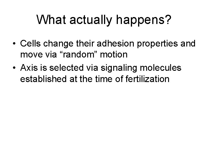 What actually happens? • Cells change their adhesion properties and move via “random” motion