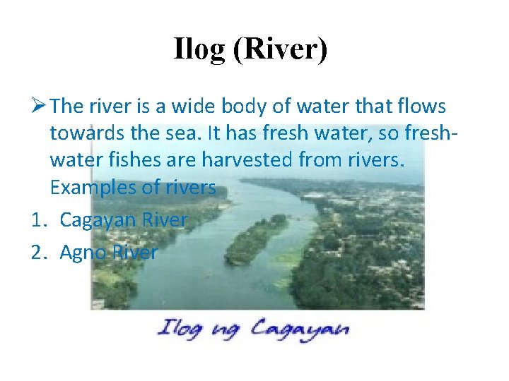 Ilog (River) Ø The river is a wide body of water that flows towards