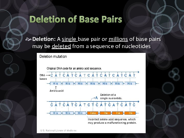Deletion of Base Pairs Deletion: A single base pair or millions of base pairs