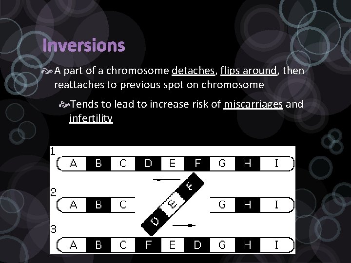Inversions A part of a chromosome detaches, flips around, then reattaches to previous spot