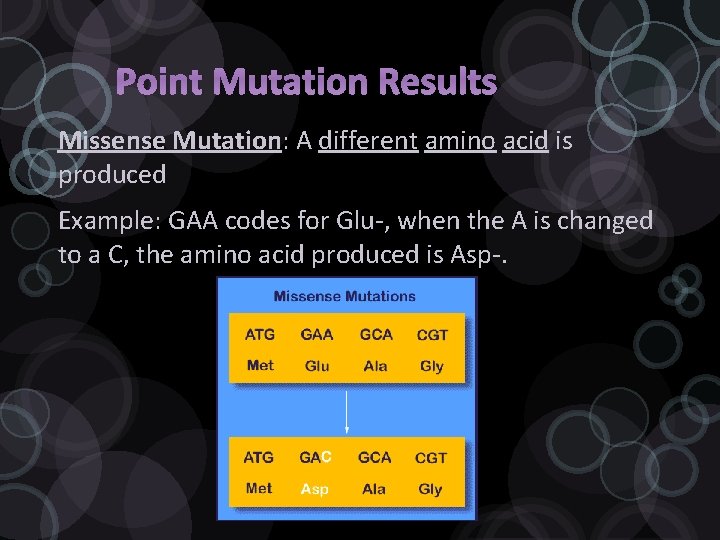 Point Mutation Results Missense Mutation: A different amino acid is produced Example: GAA codes