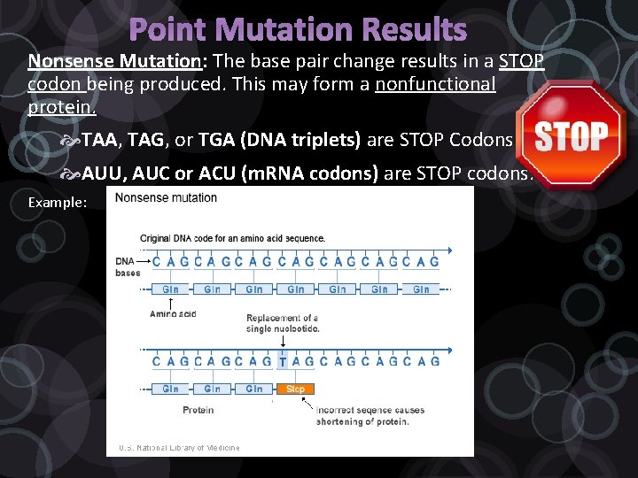 Point Mutation Results Nonsense Mutation: The base pair change results in a STOP codon