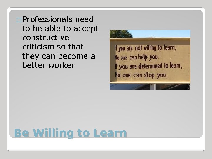 �Professionals need to be able to accept constructive criticism so that they can become