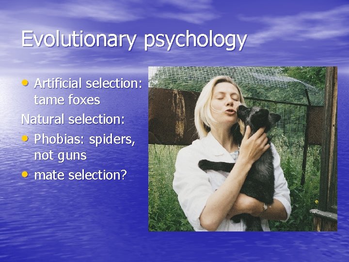 Evolutionary psychology • Artificial selection: tame foxes Natural selection: • Phobias: spiders, not guns