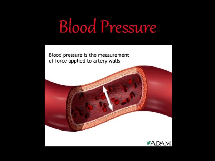 Blood Pressure 