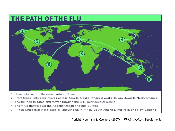 Wright, Neumann & Kawaoka (2007) In Fields Virology, Supplemental 