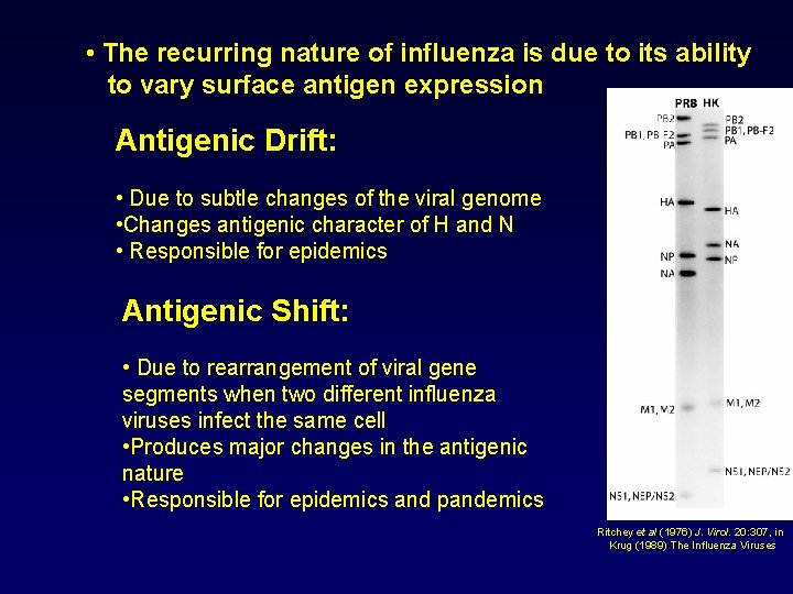  • The recurring nature of influenza is due to its ability to vary