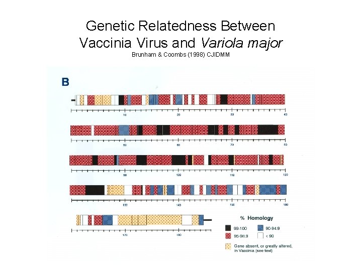 Genetic Relatedness Between Vaccinia Virus and Variola major Brunham & Coombs (1998) CJIDMM 