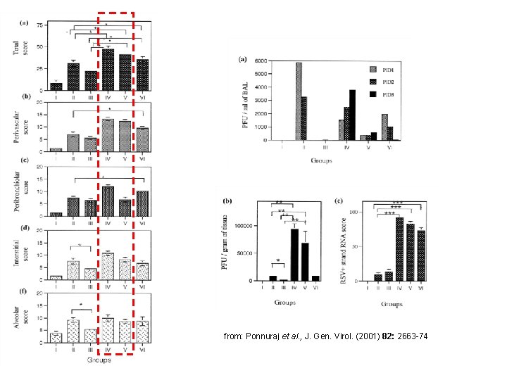 from: Ponnuraj et al. , J. Gen. Virol. (2001) 82: 2663 -74 