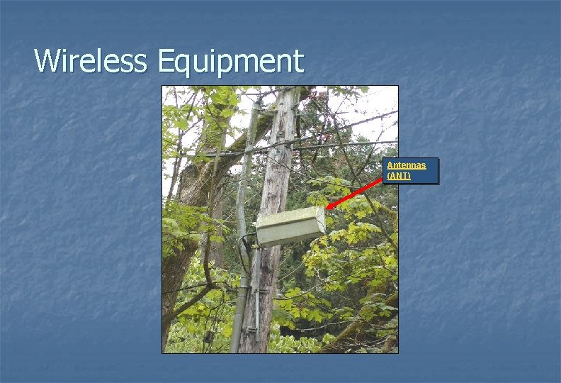 Wireless Equipment Antennas (ANT) 