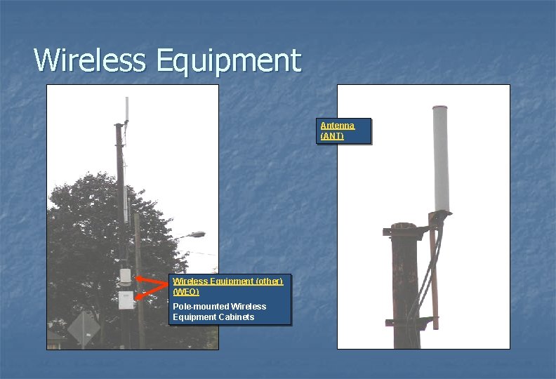 Wireless Equipment Antenna (ANT) Wireless Equipment (other) (WEO) Pole-mounted Wireless Equipment Cabinets 