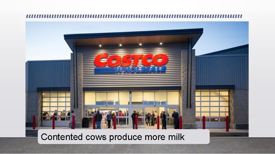 Contented cows produce more milk 