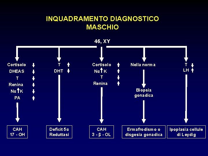 INQUADRAMENTO DIAGNOSTICO MASCHIO 46, XY Cortisolo DHEAS T DHT T Renina Cortisolo Nα K