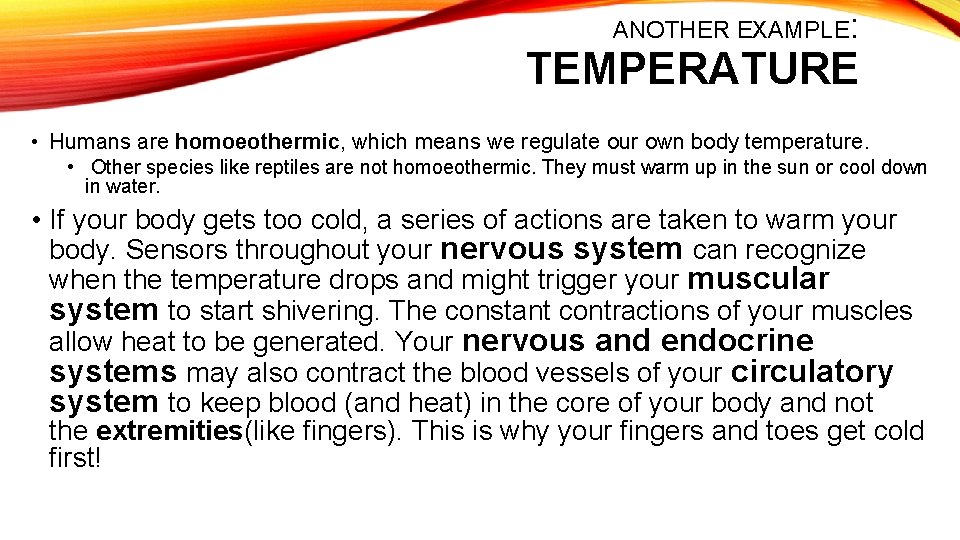 ANOTHER EXAMPLE: TEMPERATURE • Humans are homoeothermic, which means we regulate our own body