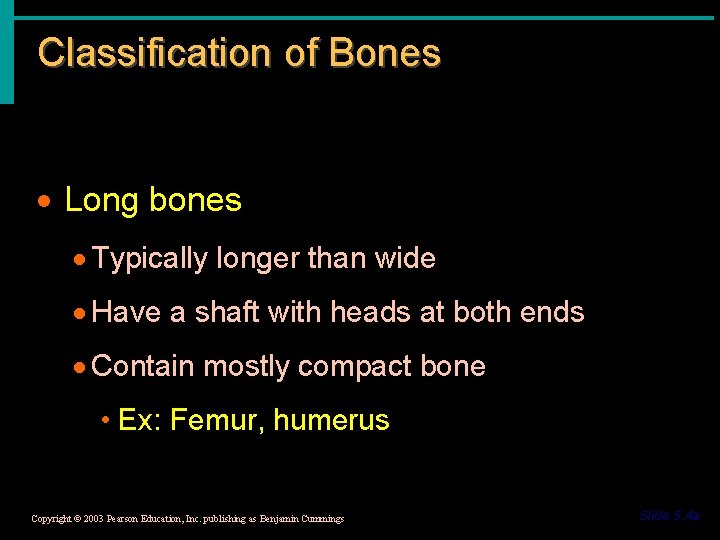 Classification of Bones · Long bones · Typically longer than wide · Have a