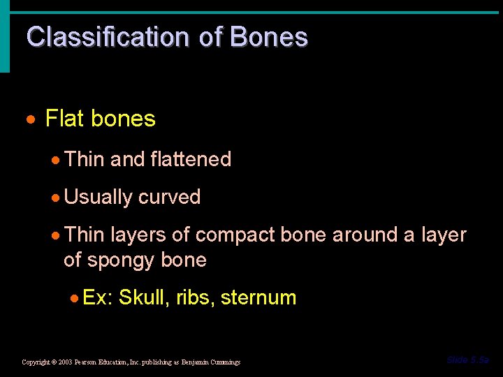 Classification of Bones · Flat bones · Thin and flattened · Usually curved ·