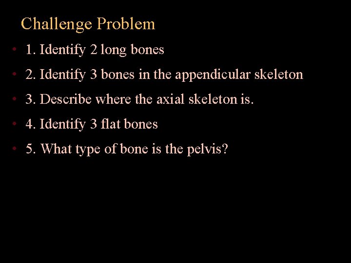 Challenge Problem • 1. Identify 2 long bones • 2. Identify 3 bones in
