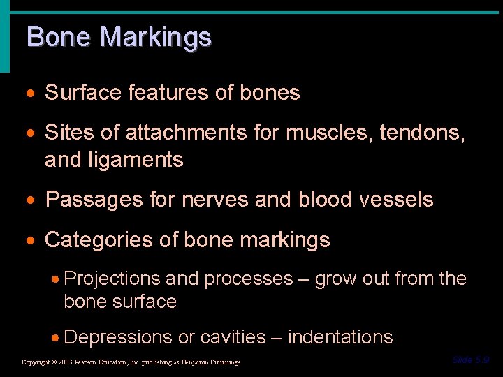 Bone Markings · Surface features of bones · Sites of attachments for muscles, tendons,