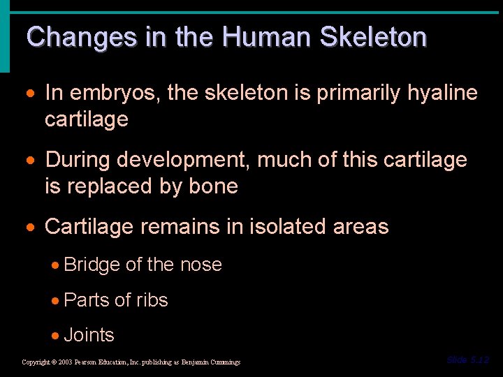 Changes in the Human Skeleton · In embryos, the skeleton is primarily hyaline cartilage