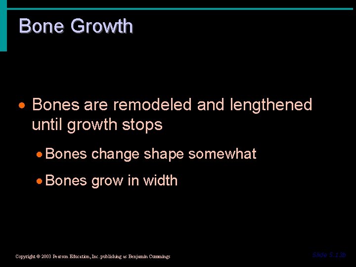 Bone Growth · Bones are remodeled and lengthened until growth stops · Bones change