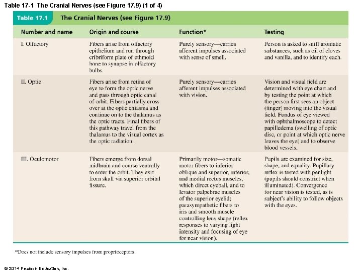 Table 17 -1 The Cranial Nerves (see Figure 17. 9) (1 of 4) ©